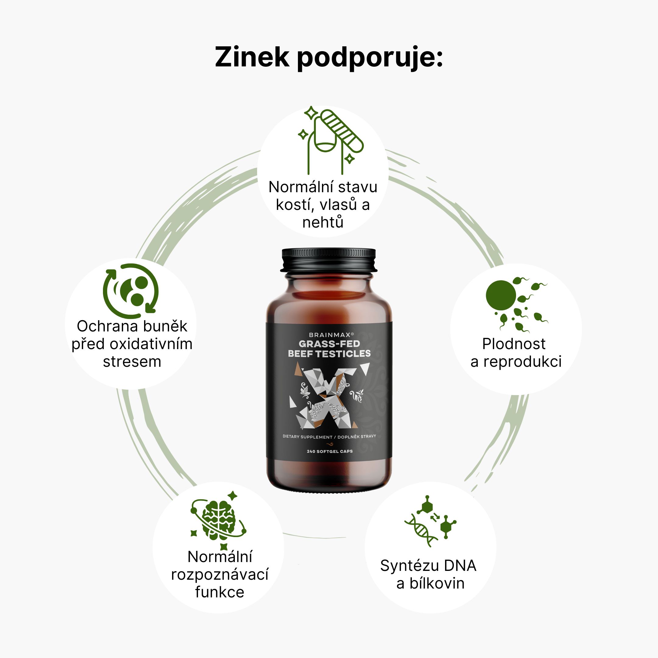 zinecek